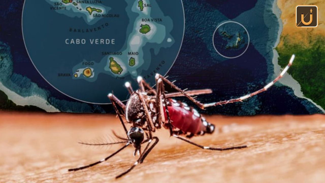 Usthadian Academy / Cabo Verde Achieves Malaria-Free Certification By WHO